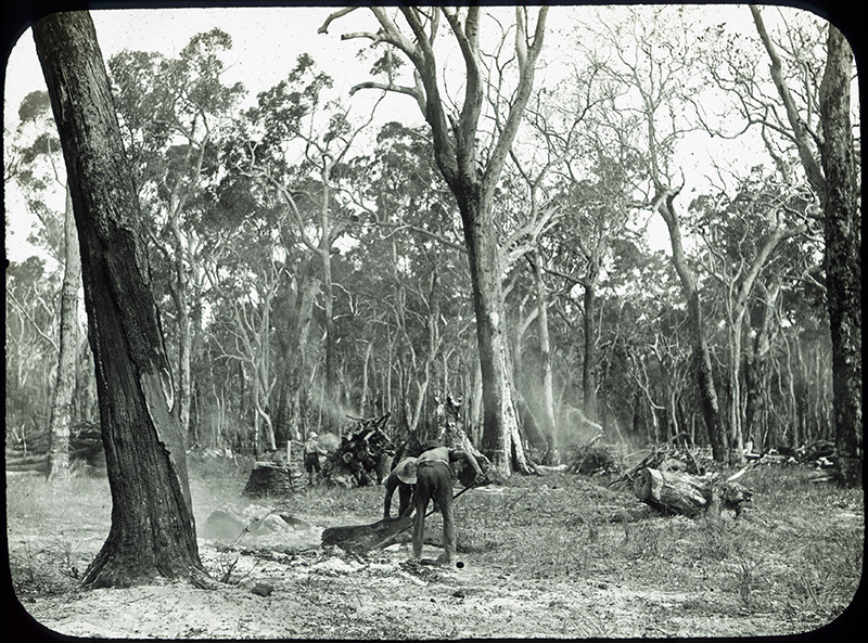 23 - Burning off, Group Settlements, WA.jpg - 23 - Burning off, Group Settlements, WA